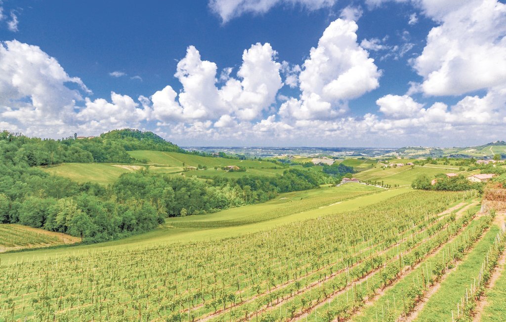Maison 4 chambres à Cuccaro Monferrato, vue campagne - Photo 7