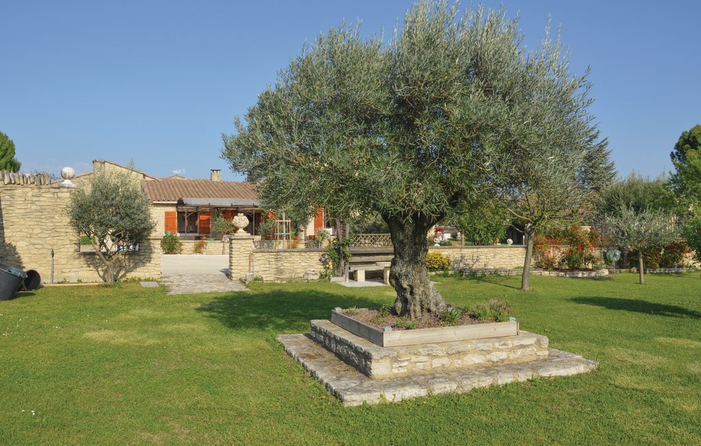 Maison en pierre à Gordes, jardin d'oliviers - Photo 9
