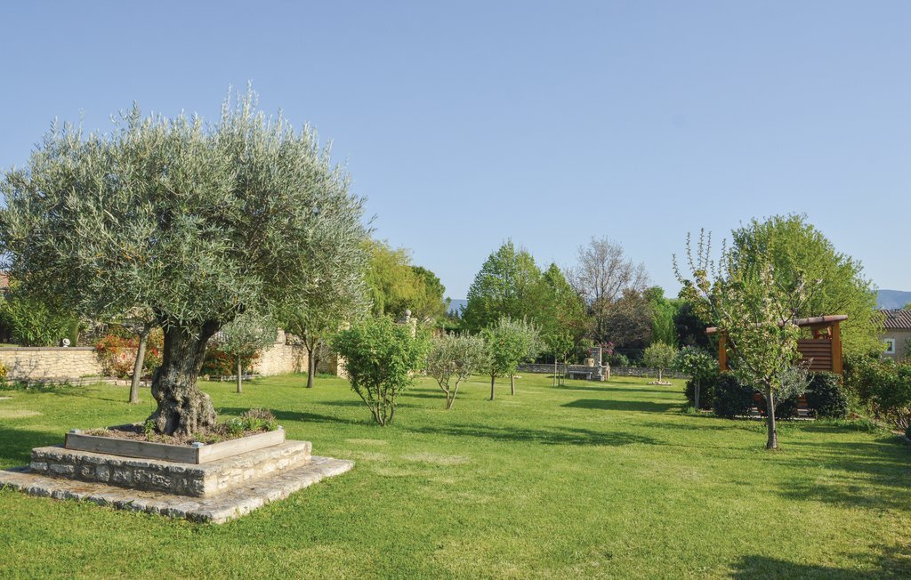 Maison en pierre à Gordes, jardin d'oliviers - Photo 12