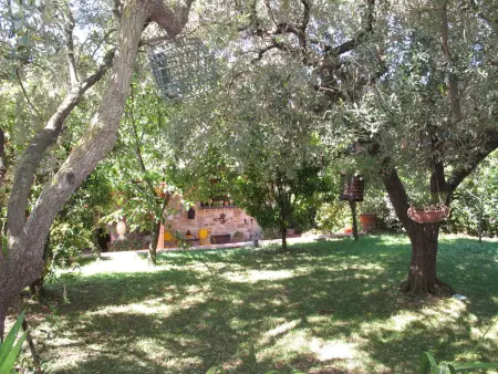 Villa Capo Corso, 450 m² avec piscine à Corsanico : photo 42