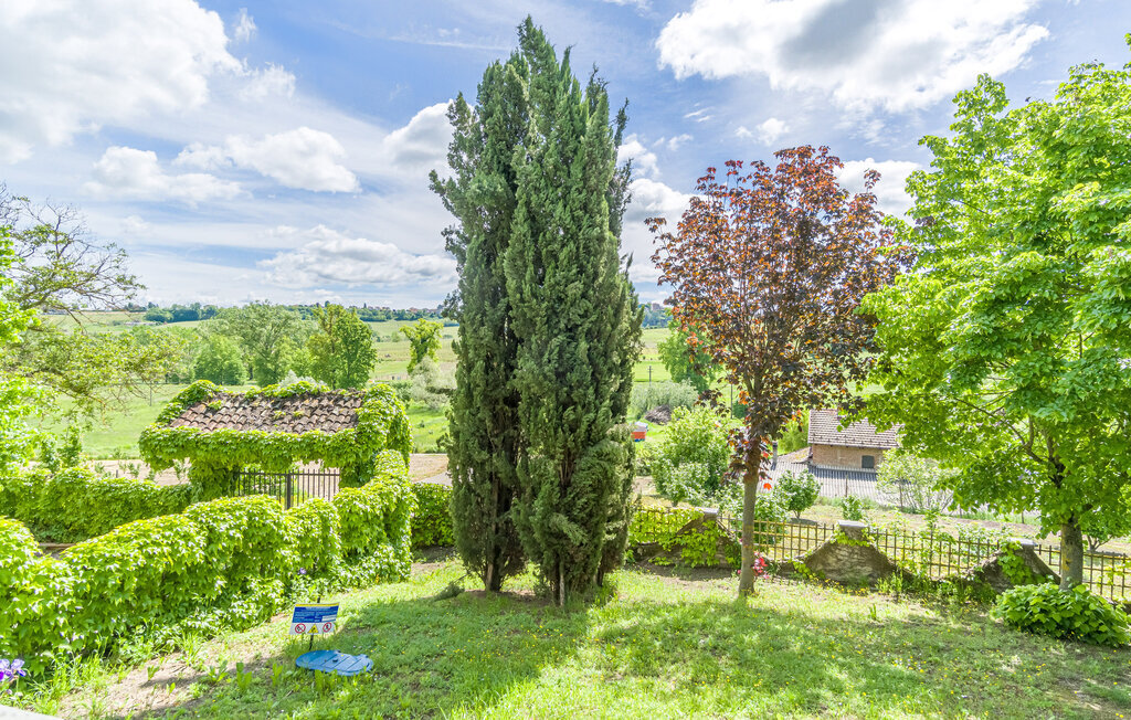 Villa Isabella - Maison 10 pers. piscine privée Monferrato - Photo 25