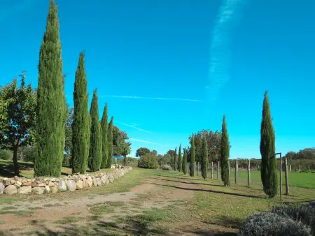 Il Casaletto, Location Maison 4 personnes à Lago di Vico - Photo 25