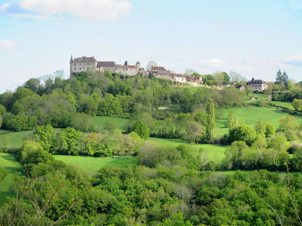 Gîte Sarrouil à Loubressac, piscine et terrasses - Photo 32