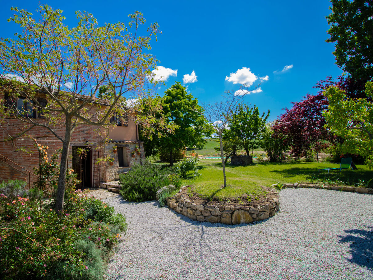 Le Nuvole, gîte 6 pers. avec piscine à Castiglione del Lago - Photo 5
