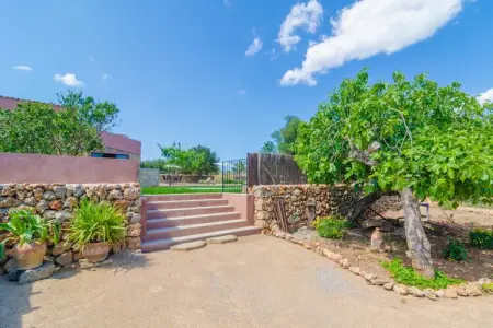 Can Potdir, villa 6 pers. à Ariany avec piscine : photo 16