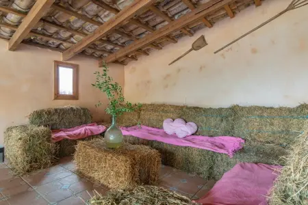 Can Potdir, villa 6 pers. à Ariany avec piscine : photo 49