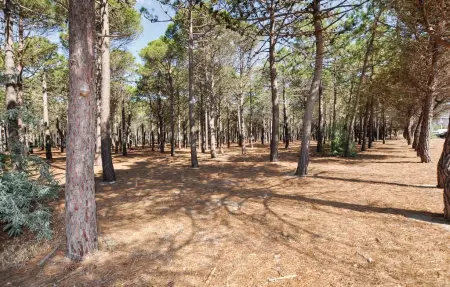 Maison 4 personnes à Sainte Marie Plage - Photo 33