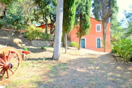 Collina Lagomare - Gîte Massarosa avec jardin 1000 m² : photo 7