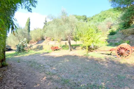 Collina Lagomare - Gîte Massarosa avec jardin 1000 m² : photo 17