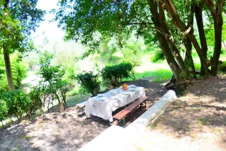 Collina Lagomare - Gîte Massarosa avec jardin 1000 m² : photo 18
