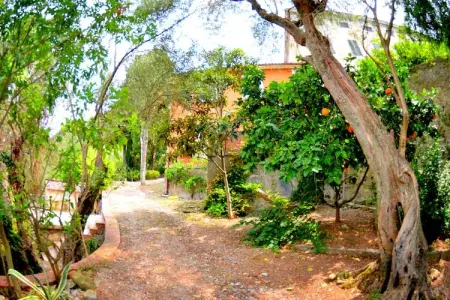 Collina Lagomare - Gîte Massarosa avec jardin 1000 m² : photo 20