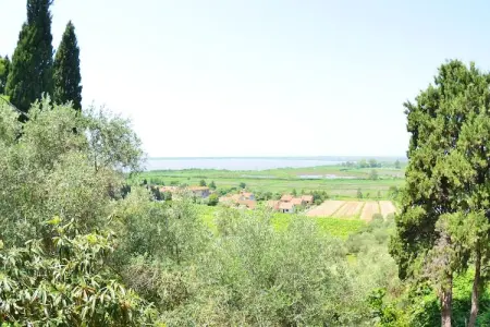 Collina Lagomare - Gîte Massarosa avec jardin 1000 m² : photo 22