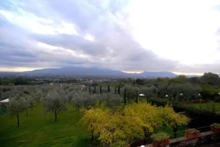 Collina Lagomare - Gîte Massarosa avec jardin 1000 m² : photo 26