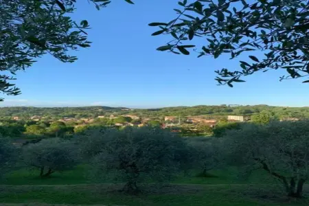 Collina Lagomare - Gîte Massarosa avec jardin 1000 m² : photo 30