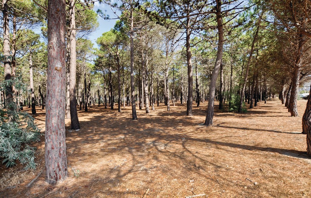 Maison 6 personnes à Céret, terrasses et vue montagne - Photo 35
