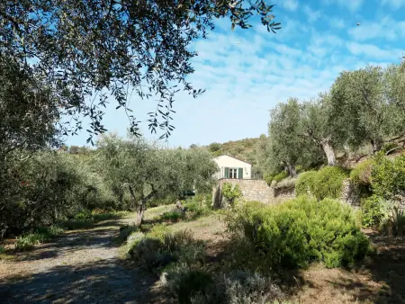 Il Terebinto (IMP427), Maison 4 personnes à Imperia - Photo 5
