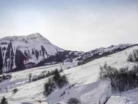 Apt 3 pièces 46 m² - Le Corbier, vue montagne : photo 21