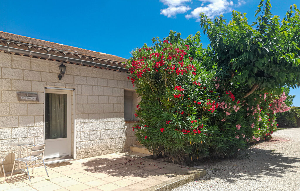 Les Lauriers Roses, maison 6 chambres en Camargue - Photo 14