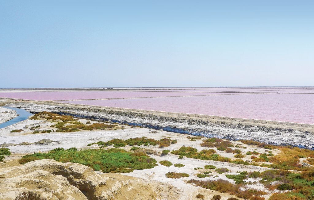 Les Lauriers Roses, maison 6 chambres en Camargue - Photo 30