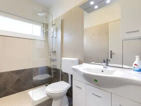 Maison Vrt avec piscine privée à Sveti Petar u Šumi : photo 37