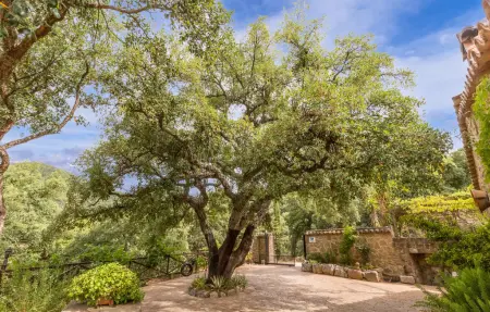 Maison de vacances avec piscine privée et vue sur la vallée de Genal : photo 11