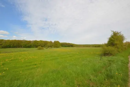 La Galoperie, gîte fermier 14 pers. avec écurie : photo 33