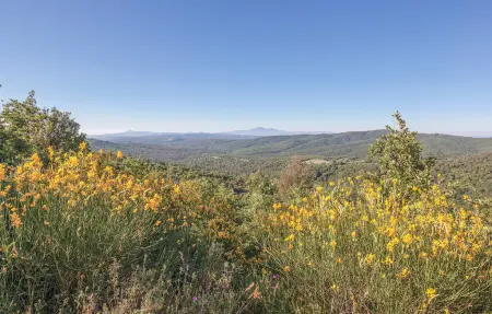 Palazzuolo, Location Maison 7 personnes à Monte San Savino  AR - Photo 20