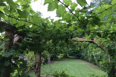 Gite Maison de Garde Barrières, Cottage en France avec jardin près du lac - Photo 23