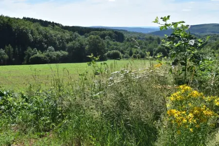 Gite Maison de Garde Barrières, Cottage en France avec jardin près du lac - Photo 28