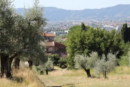 Villa il Brio x 6, Maison de vacances avec piscine située à Pistoia - Photo 21