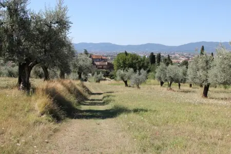 Villa il Brio x 6, Maison de vacances avec piscine située à Pistoia - Photo 22