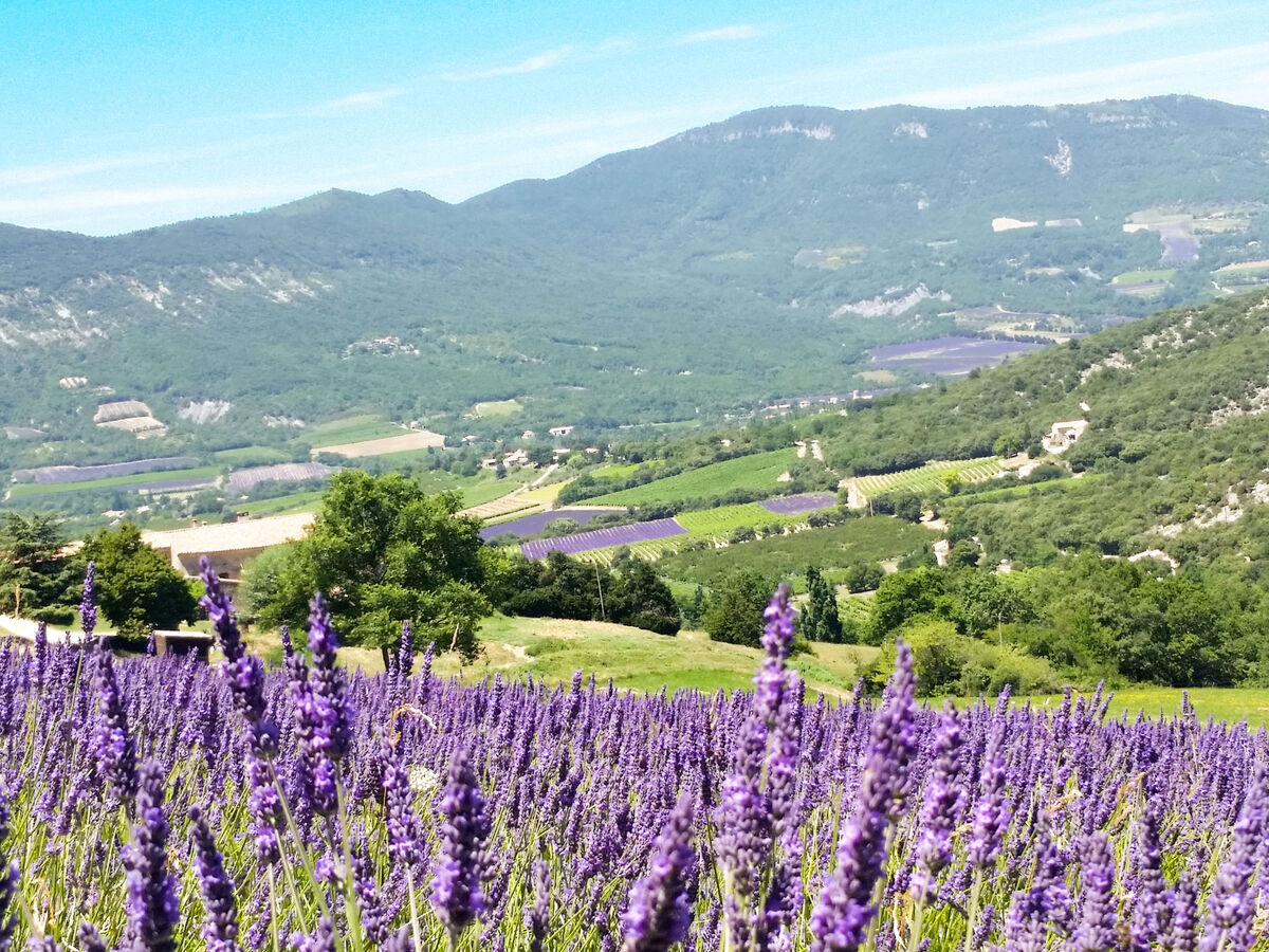 Gîte Le Cèdre – Vue panoramique sur domaine agricole de 80 ha - Photo 23