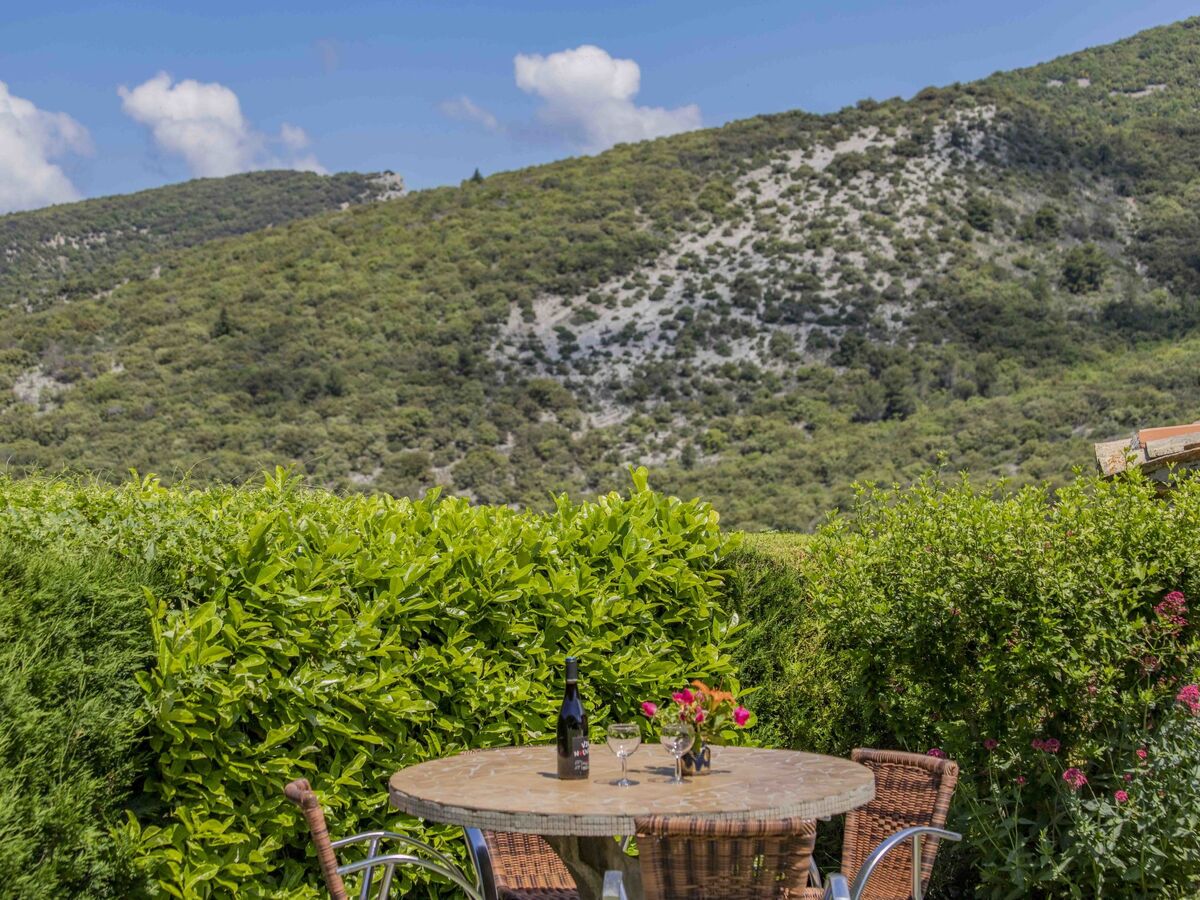 Gîte Le Cèdre – Vue panoramique sur domaine agricole de 80 ha - Photo 24