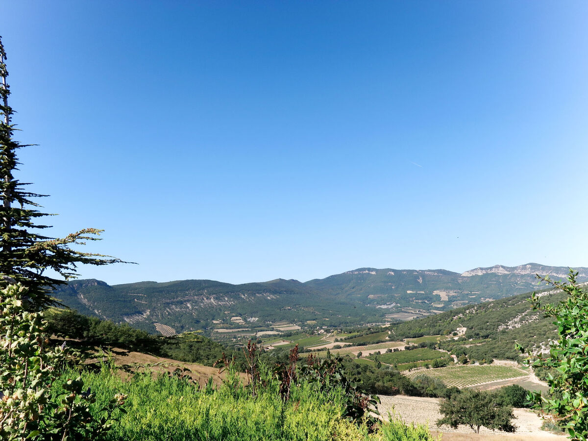 Gîte Le Cèdre – Vue panoramique sur domaine agricole de 80 ha - Photo 27