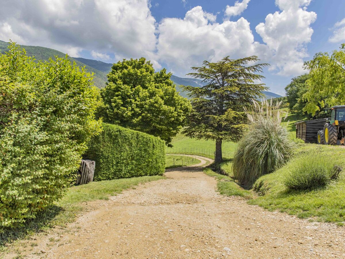 Gîte Le Cèdre – Vue panoramique sur domaine agricole de 80 ha - Photo 29