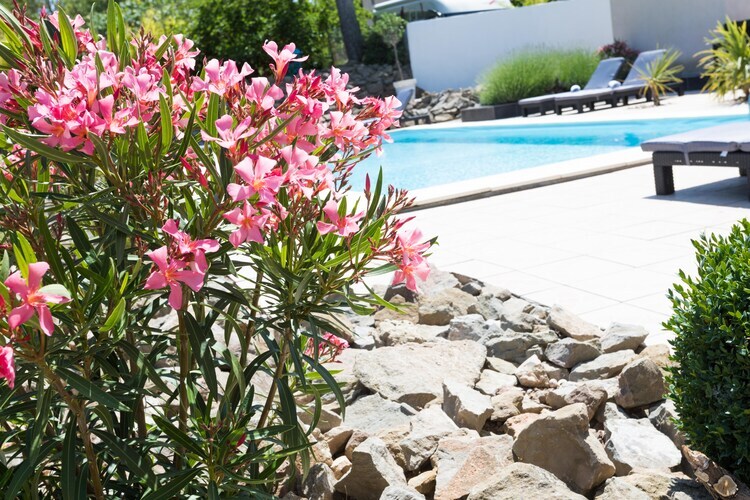 Villa Le Vigne du Paradis, 8 pers., piscine chauffée - Photo 33