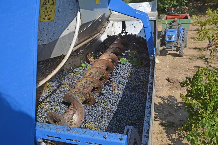Villa On the Rocks, piscine chauffée à Malves en Minervois - Photo 30