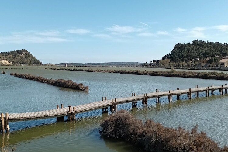 Villa Les Etangs à Narbonne, piscine et vue sur le lac - Photo 33