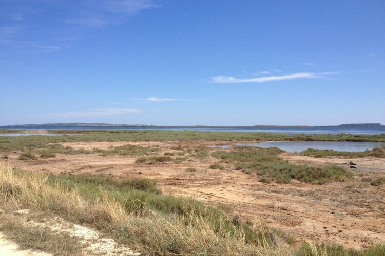 Villa Les Etangs à Narbonne, piscine et vue sur le lac - Photo 37
