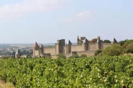 Villa Eclat avec piscine privée face aux vignobles : photo 35