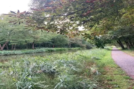Hommelhove, maison 12 pers. avec salle de jeux : photo 40