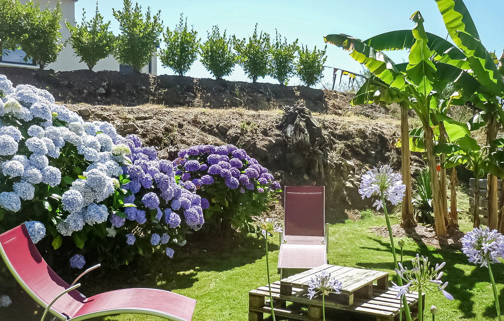 Maison 2 chambres avec grand jardin à Locronan - Photo 12