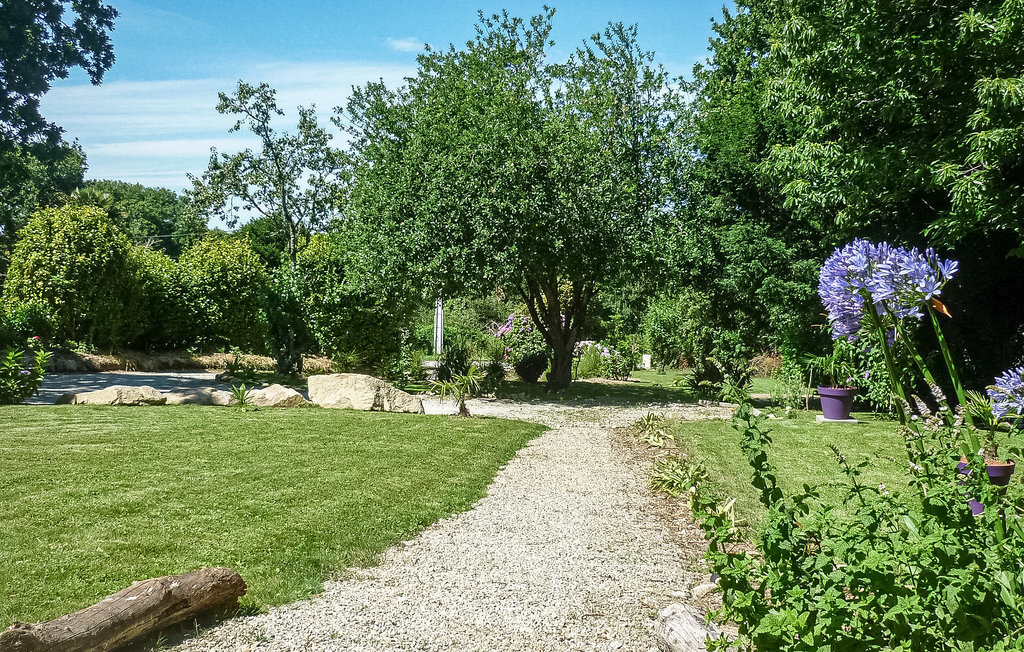 Maison 2 chambres avec grand jardin à Locronan - Photo 14