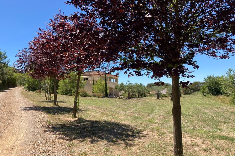 Villa Château Henry à Montbrun-des-Corbières, 12 pers. - Photo 24