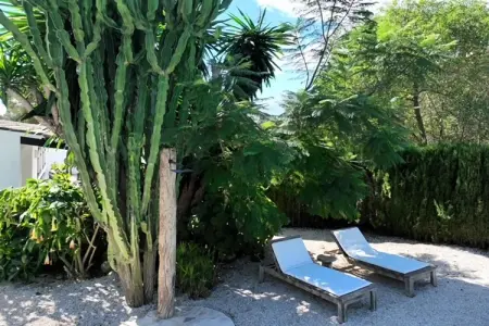Finca de Piedra – Villa 6 pers. avec piscine à Benissa : photo 33