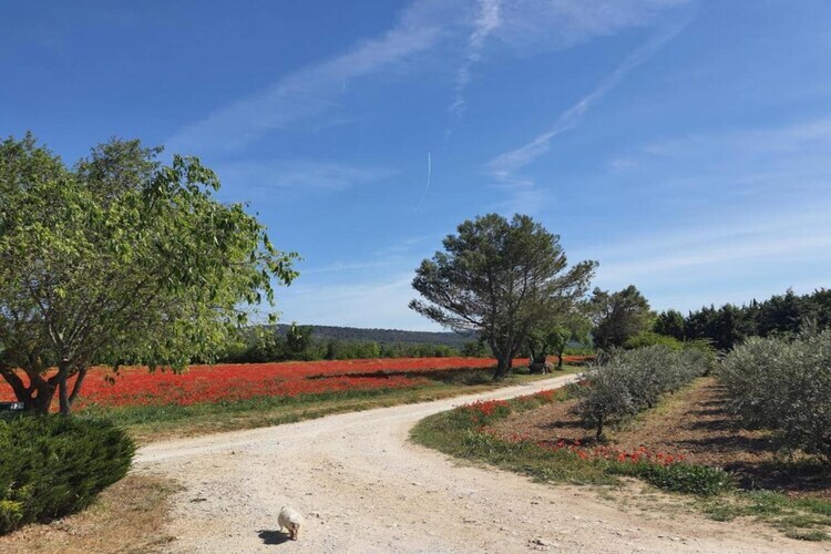 La Bastide des Chênes à Gordes, maison 4 personnes - Photo 26