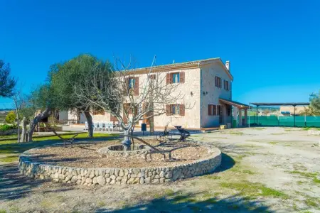 Son Pujol, villa 12 personnes avec piscine à Montuïri : photo 40