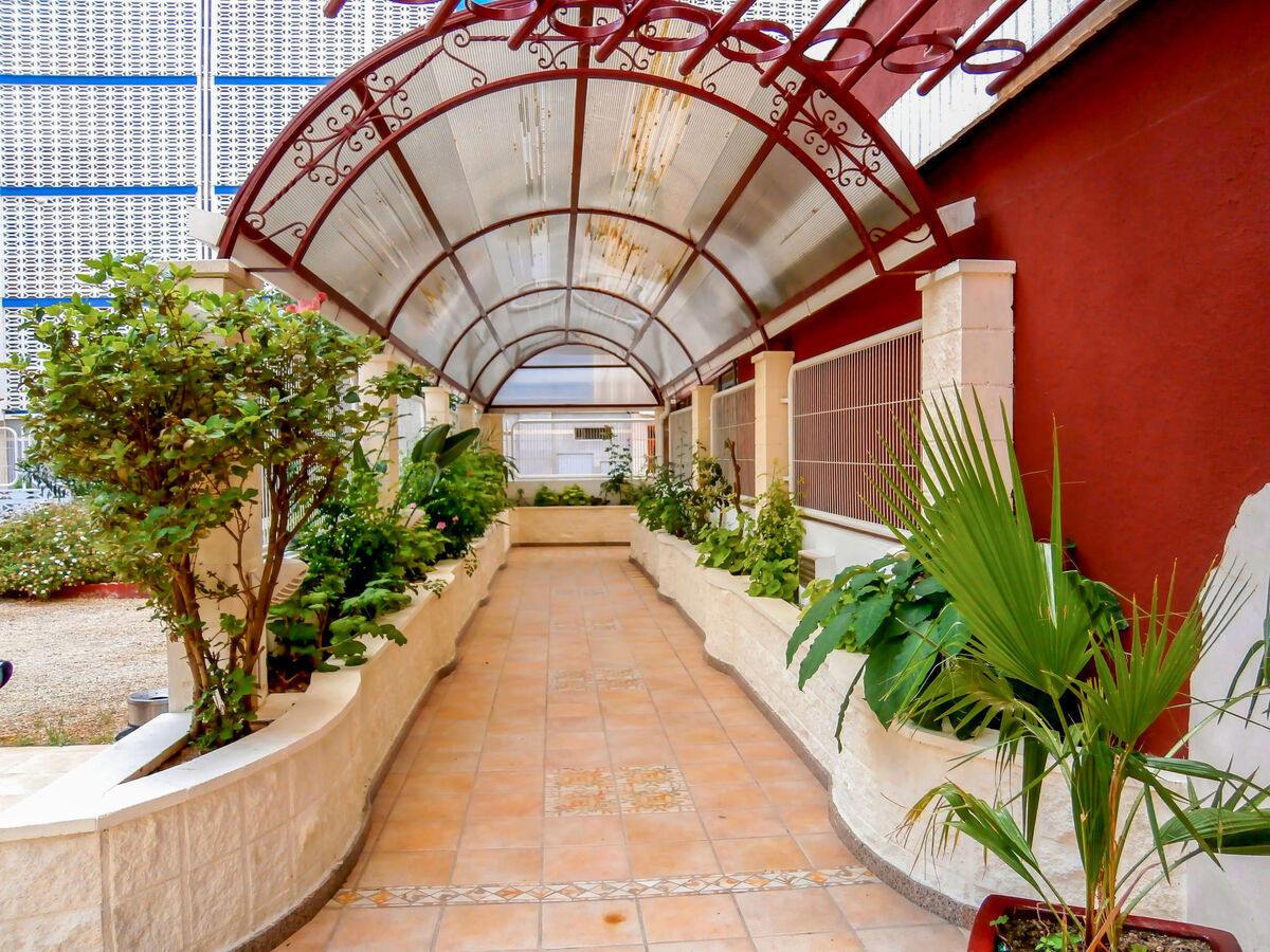 Las Damas, appartement 40 m² face à la mer à Benidorm - Photo 21