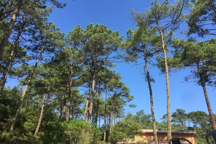 Clos les Pins – Maison 3 chambres entre lac et océan - Photo 28