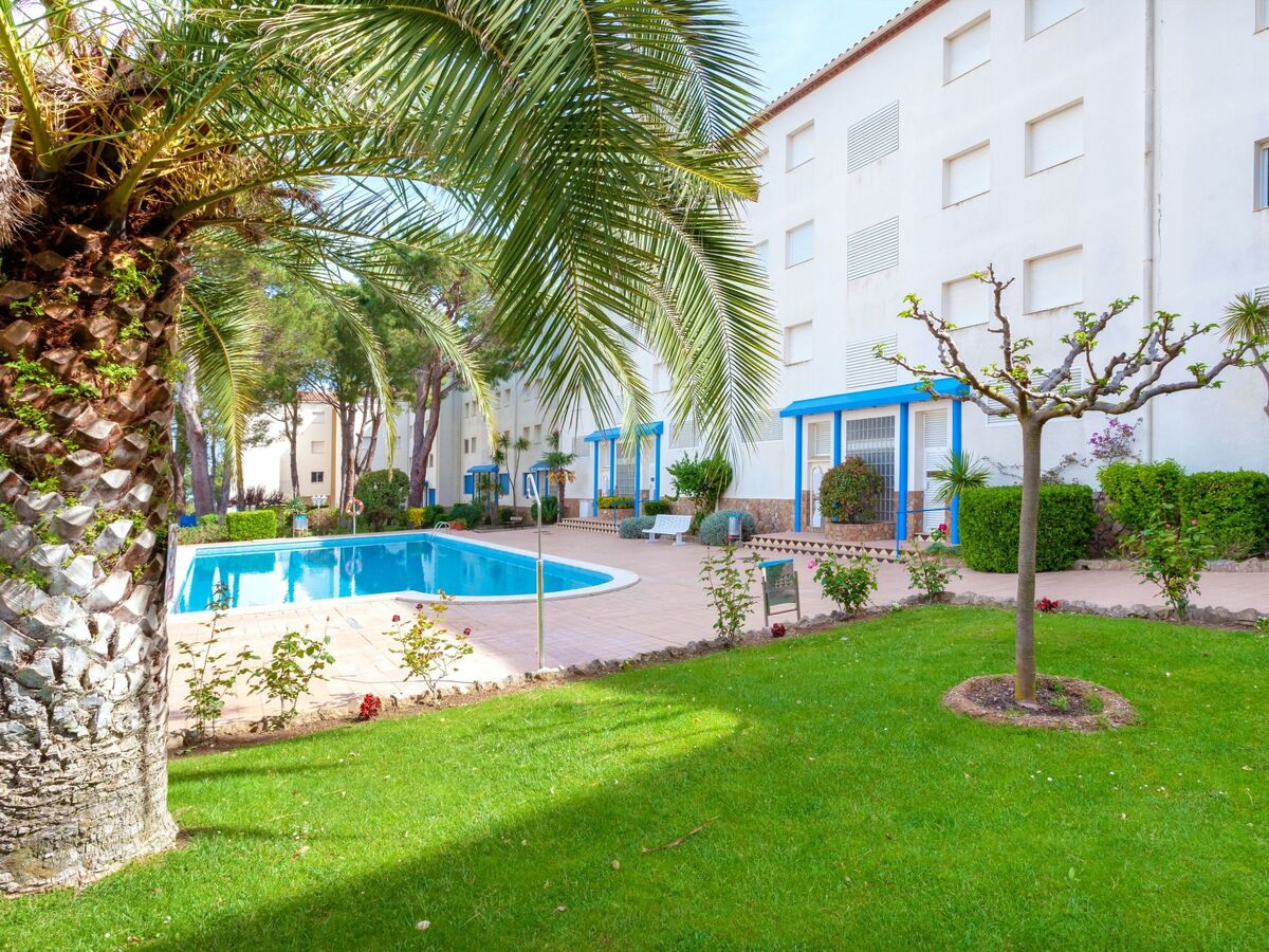 Apt 3 pièces L'Escala, 400 m mer, piscine - Photo 5